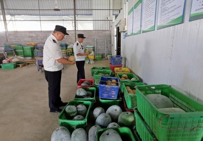 我市着力建设粤港澳大湾区菜篮子果盘子米袋子 食用农产品供给持续升级