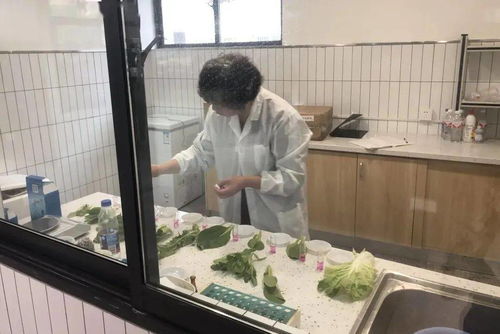 新规落地 “食用农产品”终于开了，时代的必然要求和挑战